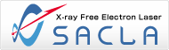 SACLA(XFEL)