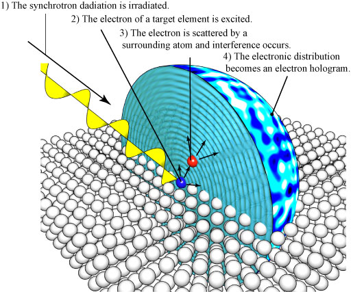 Figure 1: Measurement method of electron hologram.