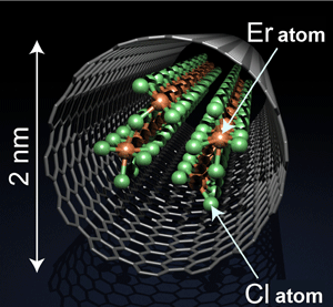 Fig.1 Schematic view of the synthesized ErCl3 nanowire