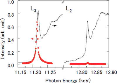 Fig. 1 Energy dependence of magnetic X-ray diffraction intensity (red) and X-ray adsorption intensity (solid black line) for Sr2IrO4.