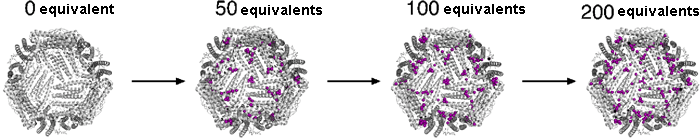 Fig. 1 Crystalline structure of ferritin before reaction with palladium and after reaction with 50, 100, and 200 equivalents of palladium.