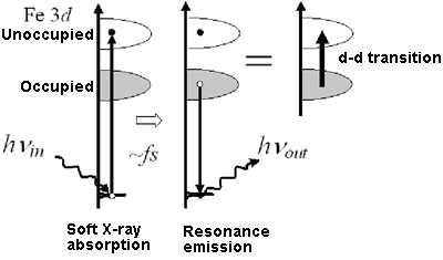 Fig. 2	The 3d electronic state of the Fe atom embedded in a protein can be detected by resonance light scattering with soft X-rays.