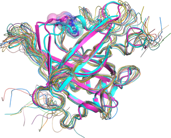 Fig. 3	Superimposition of lipocalin-type PGDS structures