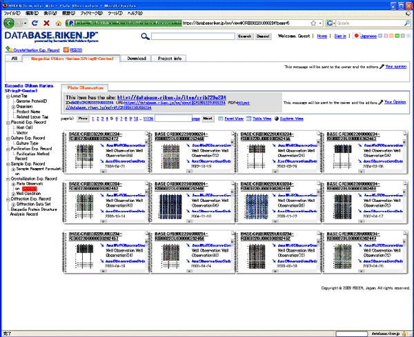 Fig. 3 Sample database screen of RIKEN Life Science Networking System "RIKEN SciNes"