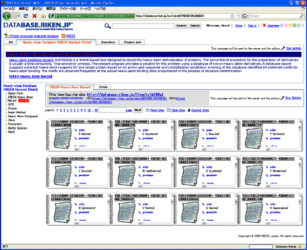 Fig. 3 Sample database screen of RIKEN Life Science Networking System "RIKEN SciNes"