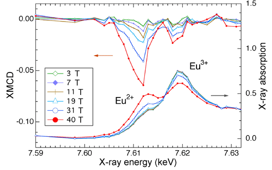Fig. 3 Magnetic-field dependences of XMCD spectrum (upper) and X-ray absorption spectrum (lower) of europium (Eu).  Two different electron states, Eu2+ and Eu3+, are separately observed.