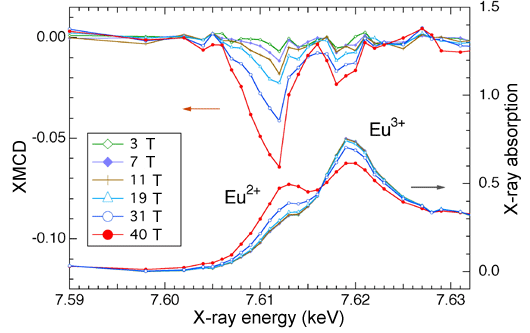 Fig. 3 Magnetic-field dependences of XMCD spectrum (upper) and X-ray absorption spectrum (lower) of europium (Eu). Two different electron states, Eu2+ and Eu3+, are separately observed.