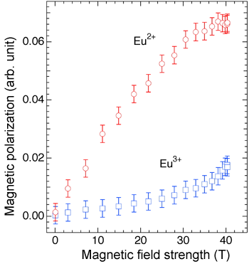 Fig. 4 Magnetic-field dependences of magnetic response (magnetic polarization level) of europium (Eu) under different electron valence conditions (Eu2+ and Eu3+).