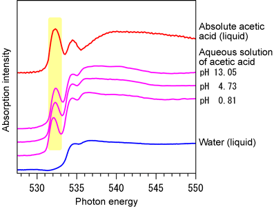 Fig. 2 Soft X-ray absorption spectra