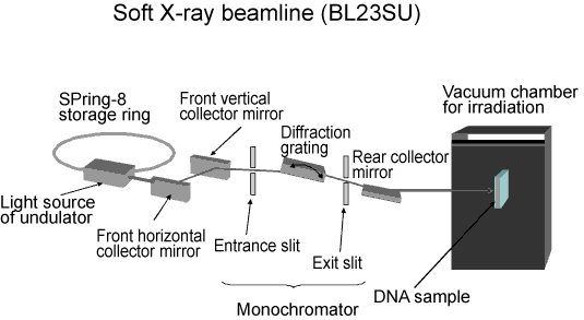 Fig. 1 Soft X-ray beamline and vacuum chamber for irradiation of DNA sample installed at beamline