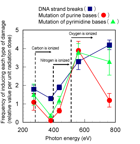 Fig. 5 Dependence of frequency of inducing each type of damage on photon energy