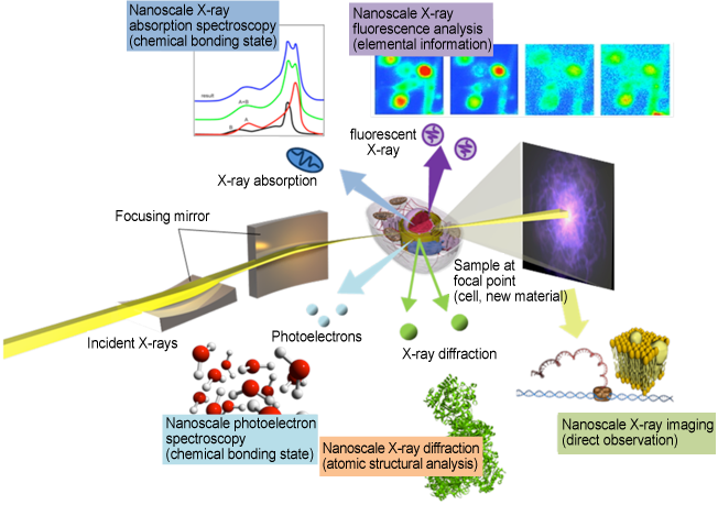Fig. 1 Fields expected to benefit from this achievement (in the case of X-ray microscopy)