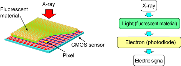 Fig. 3	Schematic of X-ray CMOS detector (left) and principle of X-ray detection (right)