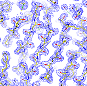 Fig. 4 Steric structure of protein determined by continuous rotation method using X-ray CMOS detector
