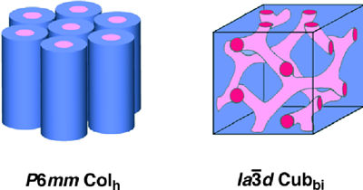 Fig. 1	Schematics of columnar phase (left) and bicontinuous cubic phase (right)