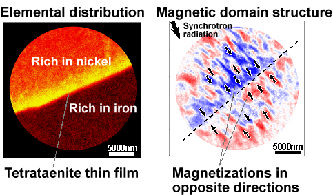 Fig. 3 Magnetic domain structure and elemental distribution in the vicinity of iron-nickel interface
