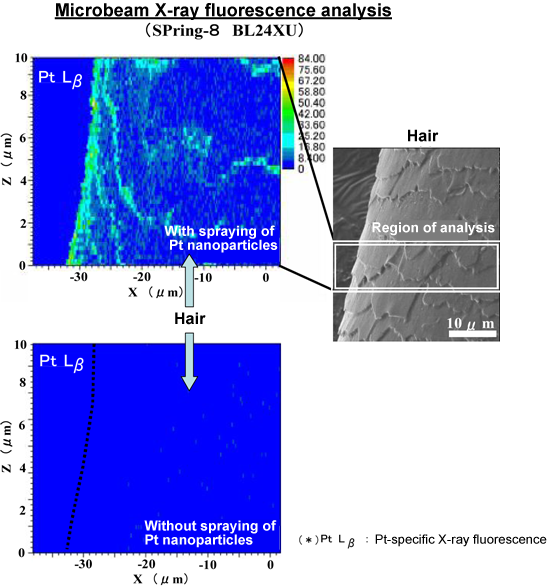 Microbeam X-ray fluorescence analysis 