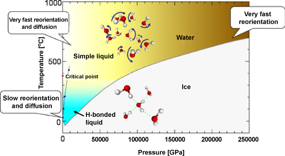 Fig. 3 Schematic of T-P diagram of water found in this study