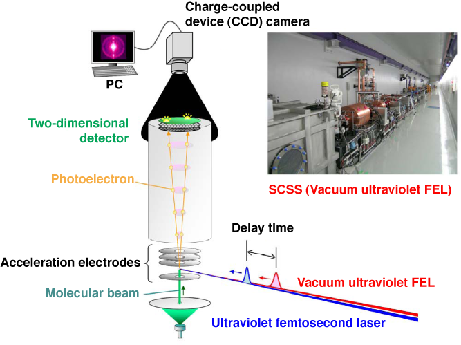 Fig. 1 Schematic of experimental setup for time-resolved photoelectron imaging using synchronized vacuum ultraviolet FEL and ultraviolet femtosecond laser, and photograph of SCSS test accelerator