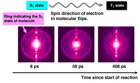   Fig. 2 Image of photoelectrons illustrating electron state of molecule during reaction