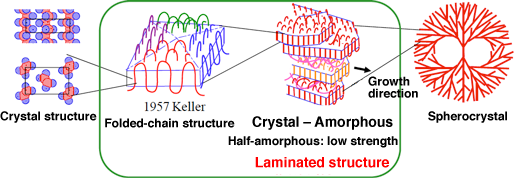 Fig. 1 Structure of conventional polymeric crystal (Image courtesy of Professor Akihiko Toda at Hiroshima University)