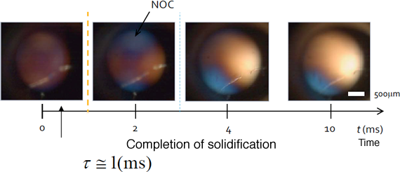 Fig. 5 Crystallization of NOC