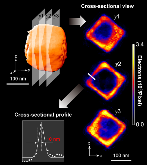 Fig. 5 Cross-sectional view of Au/Ag nanobox