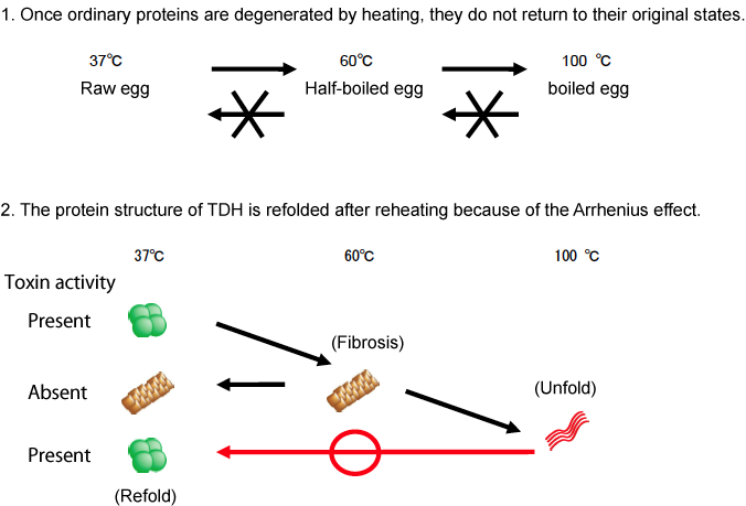 Fig.1