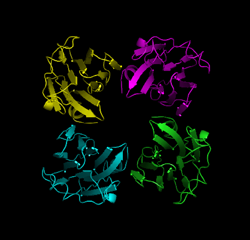 Fig. 2  Structure of TDH tetramer (X-ray crystal structure)