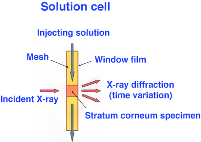 Fig. 3 Solution cell developed in this study