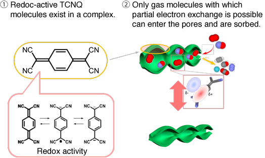 Fig. 2 Structure of tetracyanoquinodimethane (TCNQ) (left) and mechanism underlying gas sorption of nanopores of TCNQ (right).