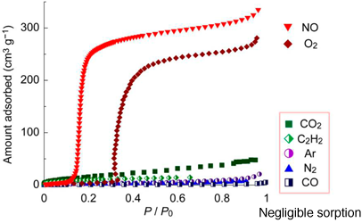 Fig. 3 Only oxygen (O2) and nitrogen monoxide (NO) molecules are sorbed.