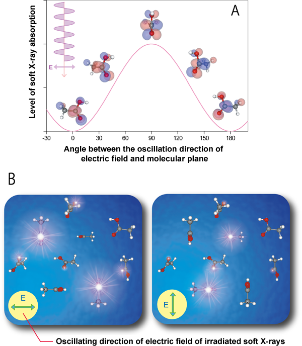 Fig. 3	Selection of molecular direction using polarized soft X-rays