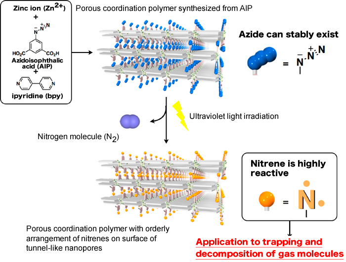 Fig. 2 Introduction of azide (N3) on surface of nanopores in porous coordination polymer to highly reactive nitrene by ultraviolet light irradiation