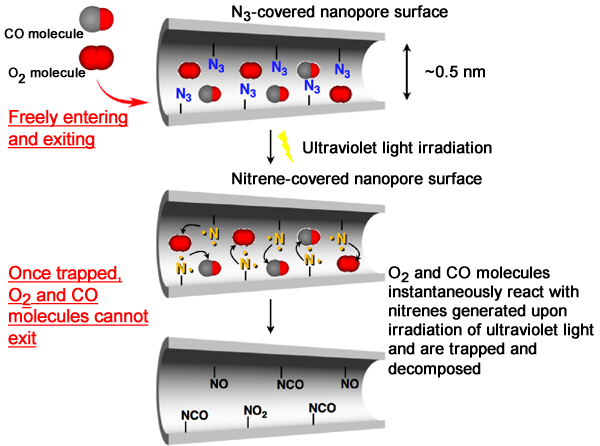 Fig. 3 Trapping and decomposition of gas molecules adsorbed onto nanopores by photoactivation 