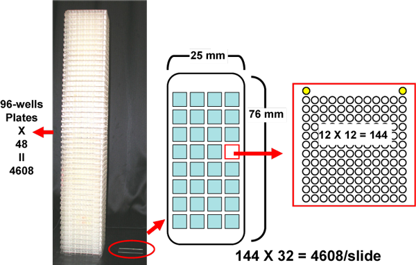 Fig. 1 Ninety-six-well plates and chemical array