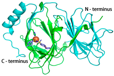 Fig. 3	Pirin-TPh A cocrystal structure