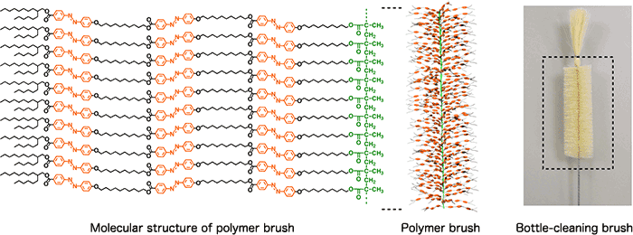 Fig. 1 Molecular structure and schematic of polymer brush, and bottle-cleaning brush