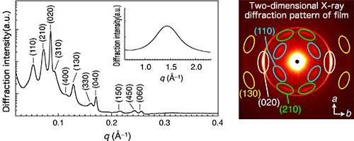 Fig. 3 Film deformation upon irradiation of light and structural change of azobenzene caused by photoisomerization