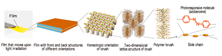 Fig. 4 Schematic of hierarchical structure of polymer brush