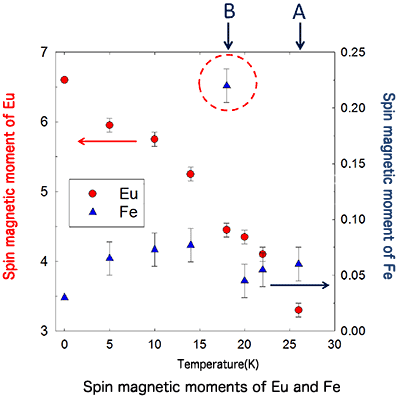 Fig. 5 Temperature-dependent change in spin magnetic moments of Fe and Eu atoms