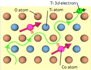 Fig. 5 Schematic of mechanism of ferromagnetism in Co:TiO2