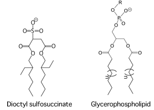 Fig. 2 Chemical structures of dioctyl sulfosuccinate and glycerophospholipid, a principal constituent of living membranes