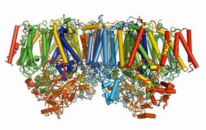 Fig. 1 Overall structure of PSII