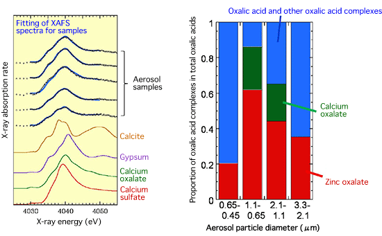 Fig. 3 Identification of calcium oxalate by calcium K-edge XAFS (left) spectroscopy and proportion of calcium oxalate complexes and zinc oxalate complexes in total oxalic acids