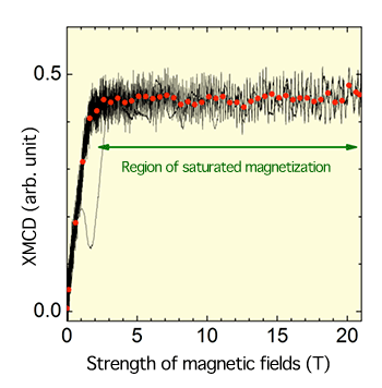 Fig. 3 Magnetization curve for Co alone obtained from XMCD measurement result in Fig. 2