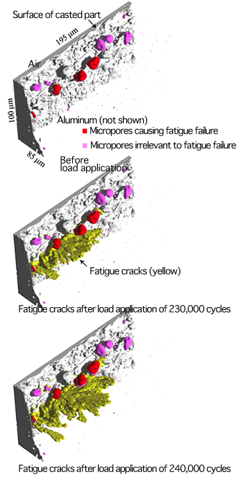 Fig. 2 	Four-dimensional images (time-series observation of three-dimensional image) of fatigue crack initiation