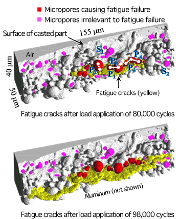 Fig. 3 Statistical analysis result of fatigue crack initiation and distribution of micropores