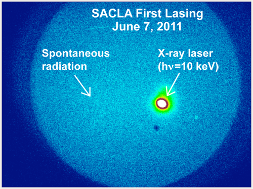 SACLA First Lasing
