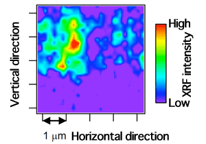 Fig. 2 	Two-dimensional X-ray fluorescence (XRF) mapping obtained using X-ray μ-beam
